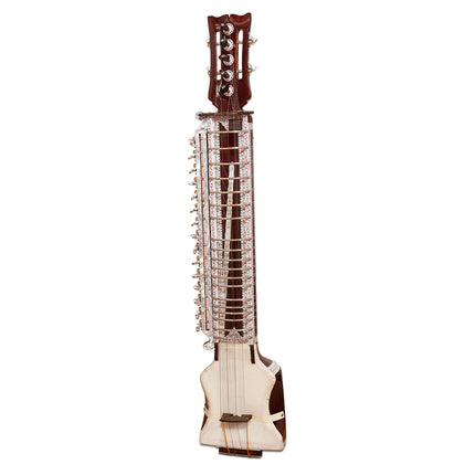 JAS Dilruba Deluxe, Size 4/4 with fiber glass hard case