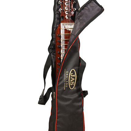 JAS Junior Dilruba 3/4 size with carry bag bow and rosin