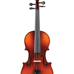 Collection image for: Violin & Accessories