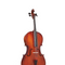 Cello & Accessories