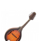 Mandolin