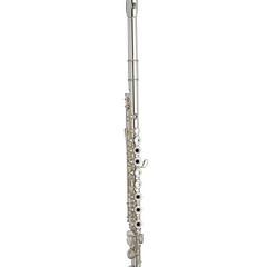 Collection image for: Western Flutes