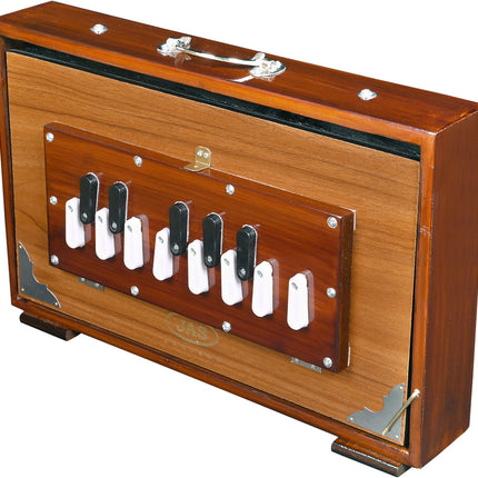 JAS Shruti box, Chromatic, 13 English Reeds C to C with Padded Bags