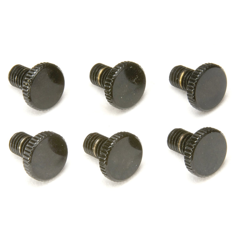 Floyd Rose Original Fine Tuning Screws