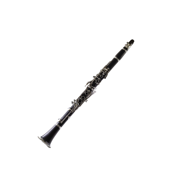 <h2><strong>Clarinet</strong></h2>