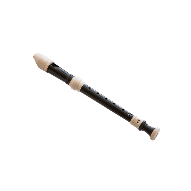 <h2><strong>Recorder</strong></h2>