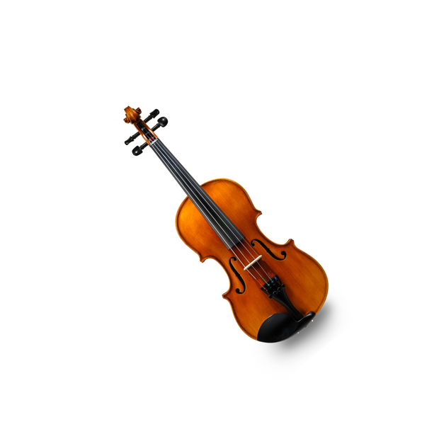 <h3><strong>Violin & Accessories</strong></h3>