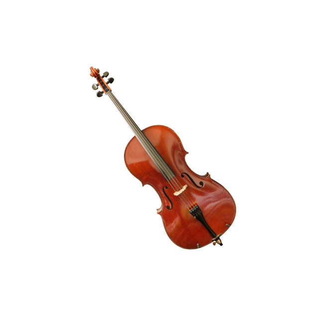 <h3><strong>Cello & Accessories</strong></h3>