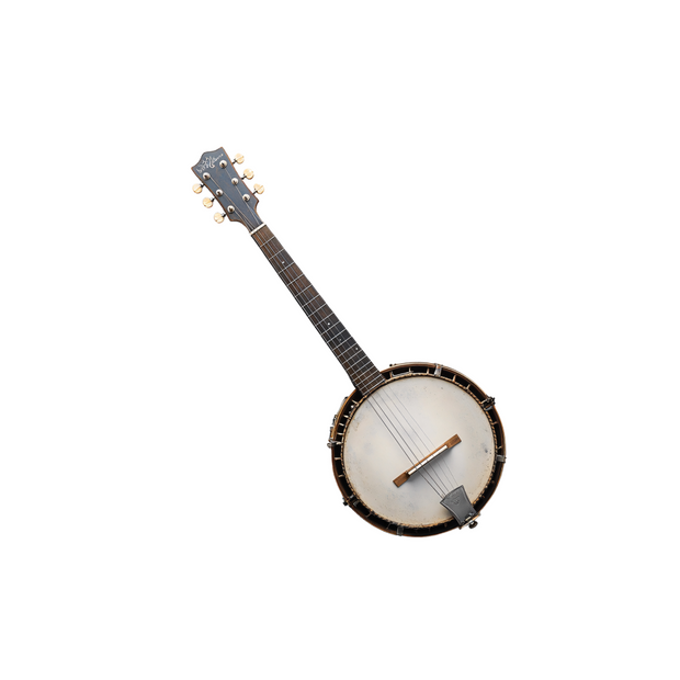 <h2><strong>Banjo</strong></h2>