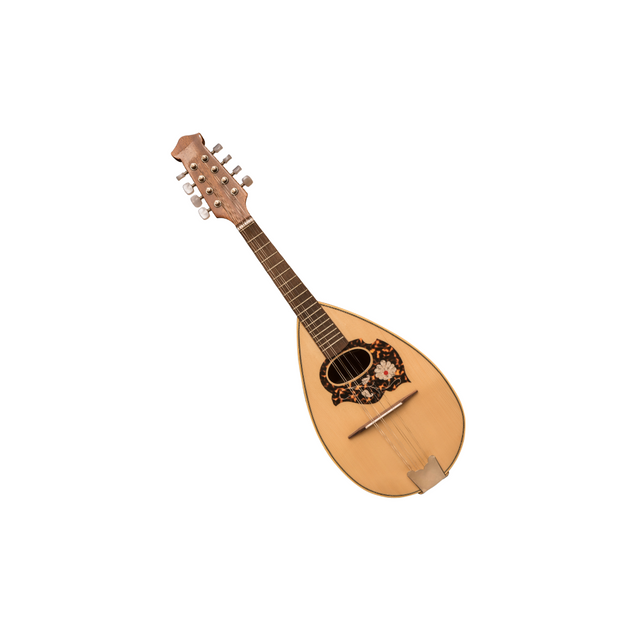 <h3><strong>Mandolin </strong></h3>
