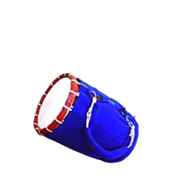 <h3><strong>Dhak</strong></h3>