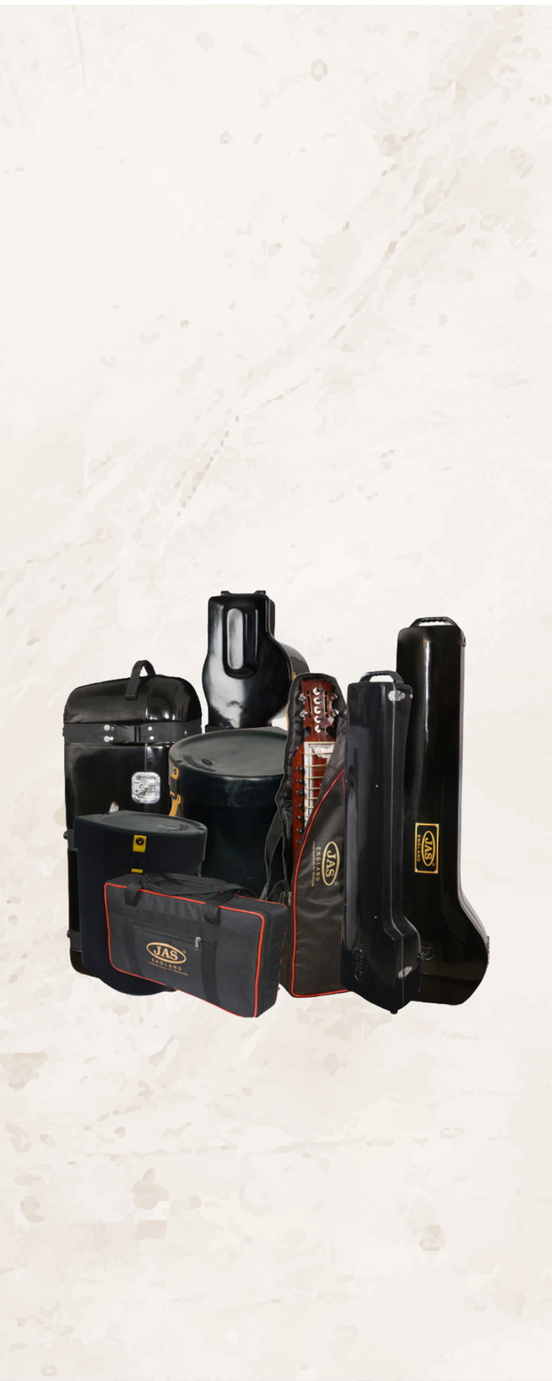 <h4><strong>Bags & Cases</strong></h4>