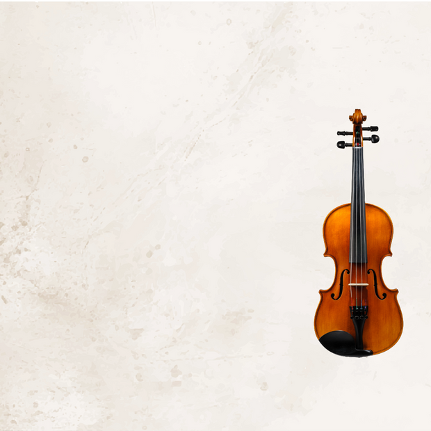 <h2><span style="text-decoration:underline"><strong>String Instruments</strong></span></h2>