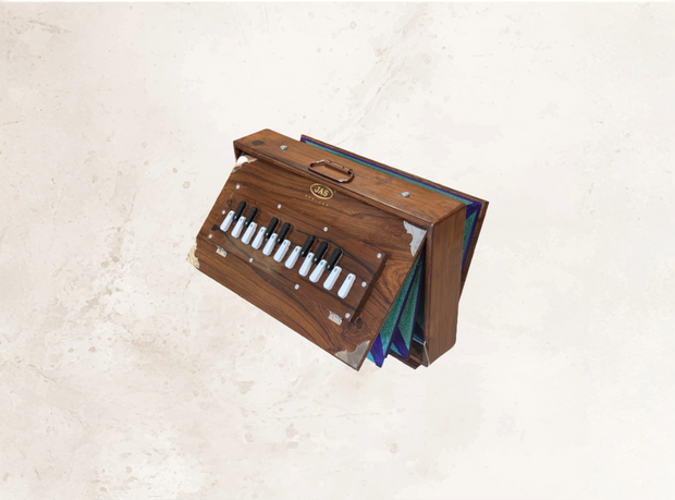<h4><strong>Shruti Box</strong></h4>