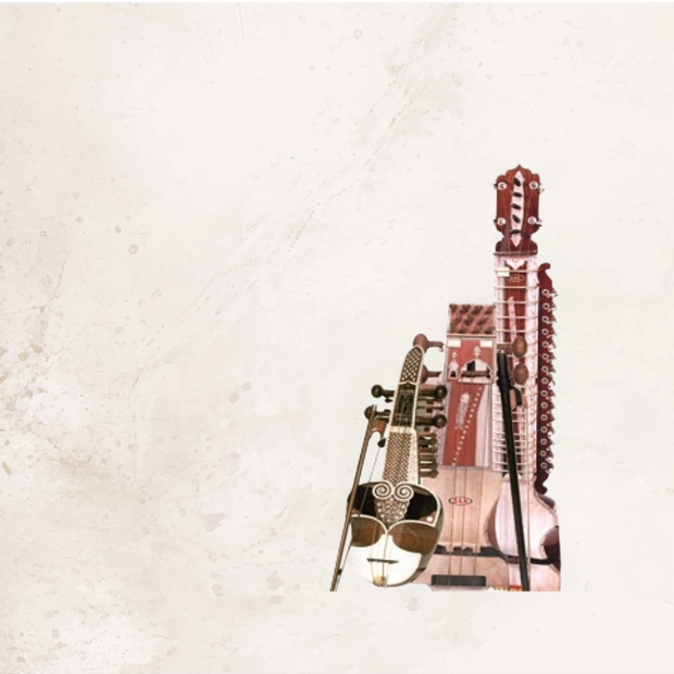 <h4><strong>Sarangi, Dilruba, Israj, Taus  & Saranda</strong></h4>
