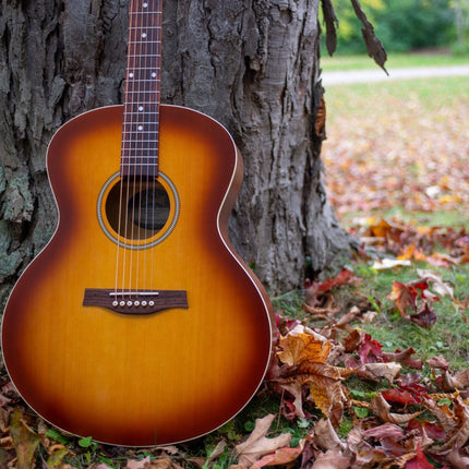 Seagull Entourage Mini Jumbo Acoustic Guitar ~ Rustic Burst