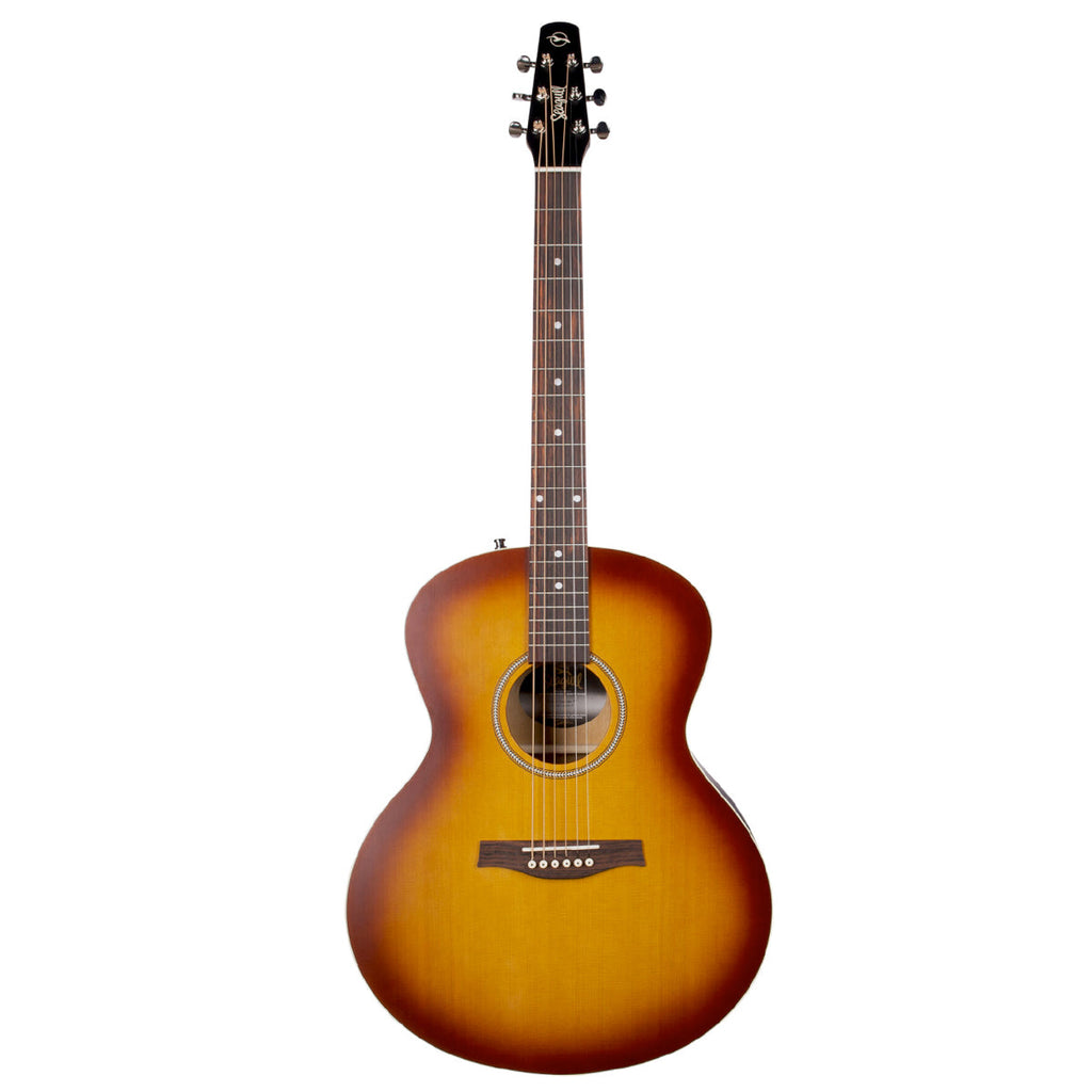 Seagull Entourage Mini Jumbo Acoustic Guitar ~ Rustic Burst