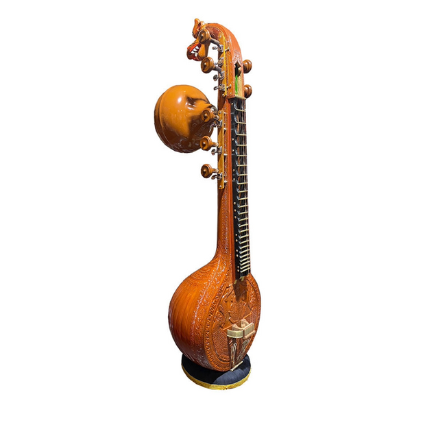 <h3><strong>Veena</strong></h3>