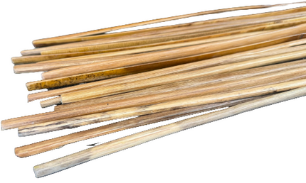 JAS Dhol Chanti Cane 20