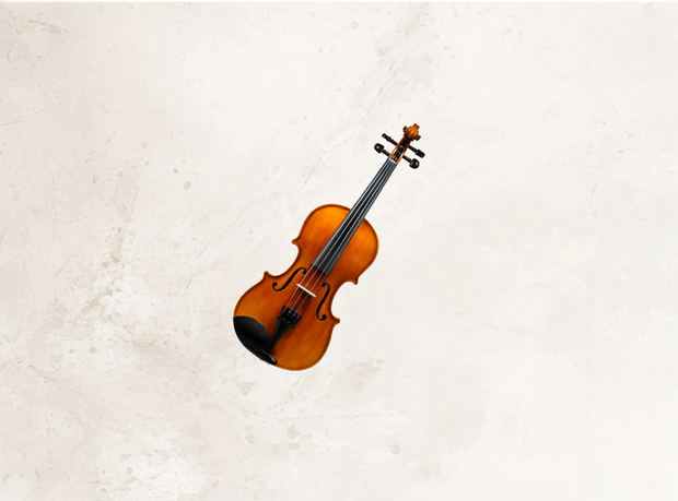 Violin and accessories 