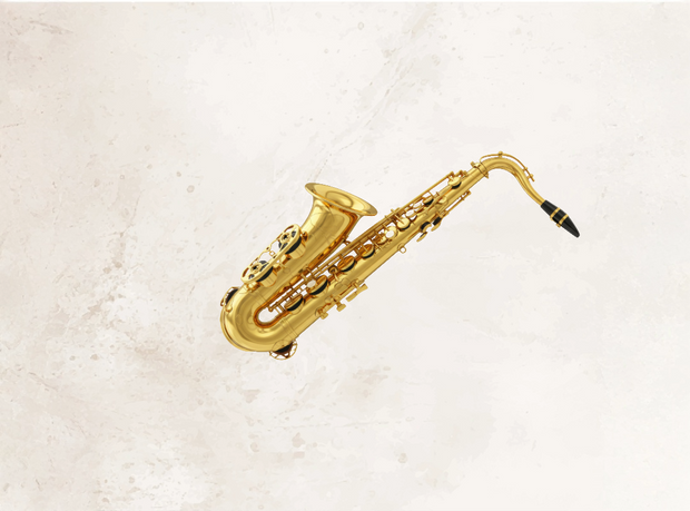 <h2><strong>Wind Instruments</strong></h2>