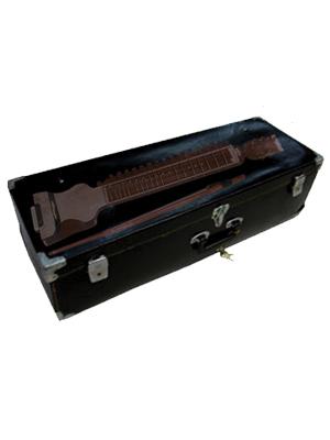 JAS Dilruba laminated case