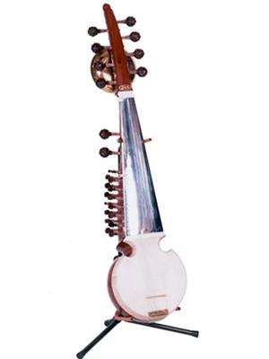 JAS Sarod Deluxe Model with Hardcase