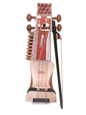 JAS Sarangi with padded carry bag