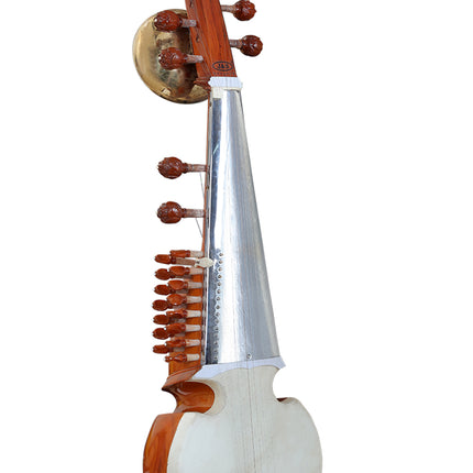 Sarod with Hard Case